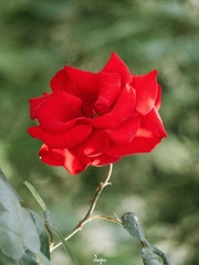 B4BDE285-2FB6-424D-AA93-822512DA2758/L0/001