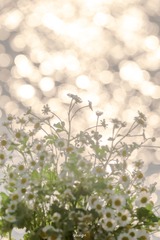 2E0CE0A1-2BCF-4898-9932-4F650AC31C30/L0/001