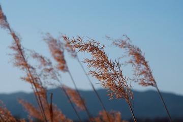 52E3D04A-938B-4B78-9653-58114A9684D5/L0/001