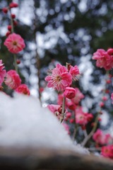 2B19B4DB-37F0-48C4-ADC9-7178A8EFB799/L0/001