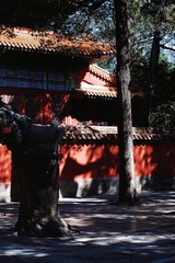 EFB99F88-8531-4F3D-A10C-4A3AEB8DC38F/L0/001