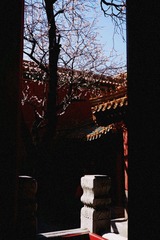 611CA52F-56BE-4BB9-B640-D29633700E51/L0/001
