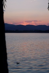 89721F8F-AE39-4BE1-BE76-05D87224B8F1/L0/001
