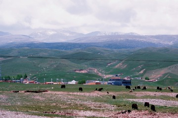 C062BB2E-C9BD-4A37-8D39-8ECEAF9435EA/L0/001