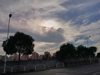 2497449