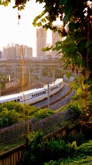 203460E6-3B35-4DC0-A2EE-7AB2C0C6A945/L0/001
