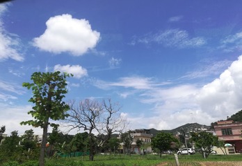 1549333