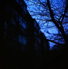kodak ektar 1000239