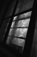 _R013079