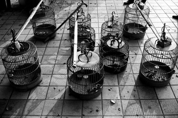 Untitled-1