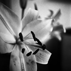 00319