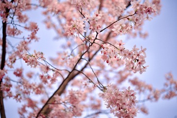 B13BB27F-7C83-43BB-B298-51BCD1F38C67/L0/001