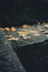70109