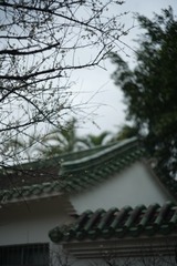 C6D41719-2791-4C11-B9CD-B42EE9651FAD/L0/001