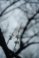 4CB1CA6A-50E3-4674-B8AD-E0E5A0C0A666/L0/001