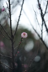 C1B61C57-E40D-4BD2-943A-A2B5CEB1F1F2/L0/001