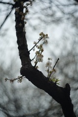 88239B85-94AE-47D5-90D6-815BF031FE40/L0/001