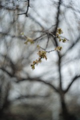 4C792B99-B227-49D4-9210-6FDAF38646DE/L0/001