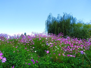 0B2EB012-33DC-4C99-BDD3-9FD5093CE747/L0/001