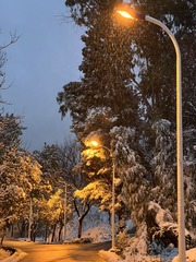 09855F93-E1B7-4217-9829-1E96956337CA/L0/001