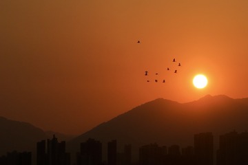 221E7114-C24B-4008-A1B1-D1B64E24159D/L0/001