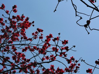 CA2CB1AA-289B-4927-AB8D-7D70F6D9B1FA/L0/001