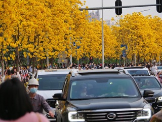 641EF9DF-6D06-4A0A-B266-29C9A7497F73/L0/001