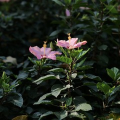 2FBB7FF0-8D66-4922-A3DC-74C5816ECAF8/L0/001