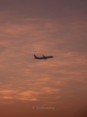 F85A2F1F-2011-4E04-A164-EE5DD112B7AA/L0/001