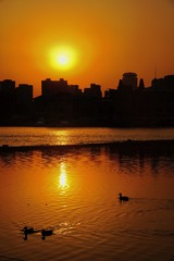 05F1A98F-1A4C-4547-874A-A414CB2835B9/L0/001