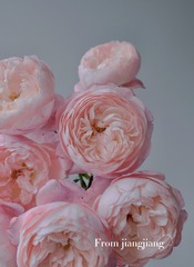 184F1F9D-0B3D-4BA9-8D38-78273AF12254/L0/001