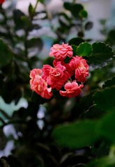 0D47B8D1-E5A5-4DB3-A3B8-CD5FCB45412B/L0/001