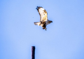 52013