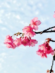 7C7048D1-DA3A-4815-B100-E510A7E4BC46/L0/001