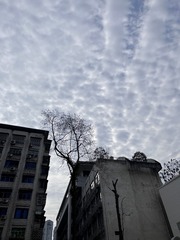 D6B6FB07-0C8E-4114-939F-19836DADA464/L0/001