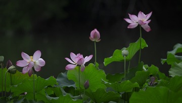 001