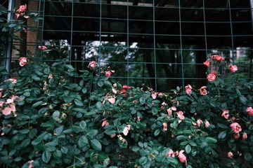 D33CC1BE-D7AA-4F8E-927C-342F07EC0C83/L0/001
