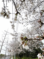 D7A54495-A53A-4613-A76F-5DD49C5787E8/L0/001