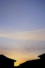 1000067875