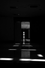 1000070261