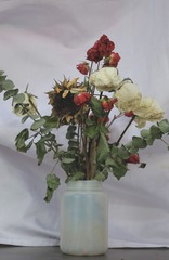 84BD645E-78CC-41C4-8080-A3B034036CB3/L0/001