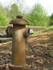 346229