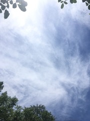 8C2DC74D-0B59-4284-92D6-89667BC2A213/L0/001