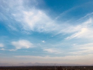 84DF82F8-DD15-445C-AE69-6FFB6D8225DC/L0/001