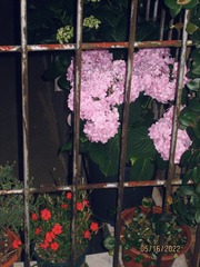 69F9766E-0E41-4DA7-B3A5-1345E2ADD5E6/L0/001