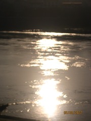9A527EEB-F8F8-4C6B-B941-CF38B33851AB/L0/001