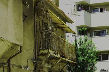 IMG_0379.jpg