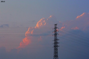 IMG_0473.jpg