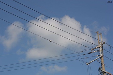 IMG_0863.jpg