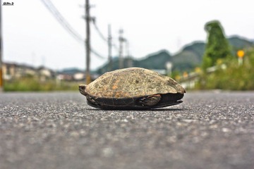 IMG_1004.jpg